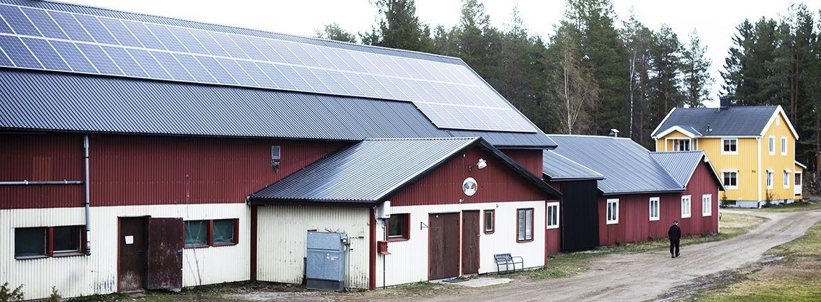 Bernts solpaneler kommer varje år att producera en tredjedel av gårdens årliga förbrukning.