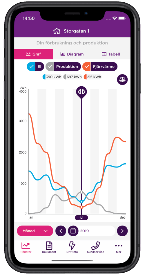 Vy i appen över förbrukningsstatistik