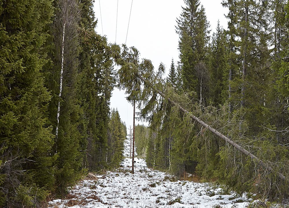 Upptäcker du lågt hängande elledningar eller träd som fallit över elledningen, kontakta oss på 020-77 27 00.