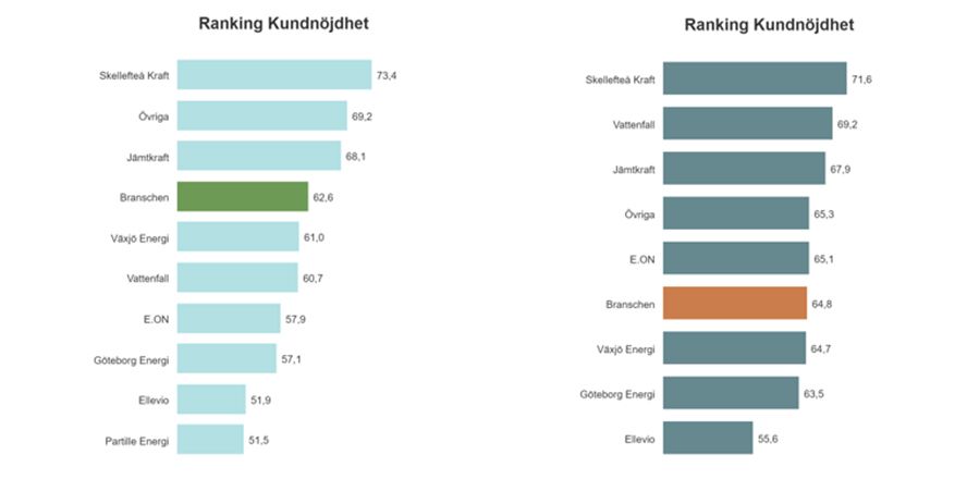 Elnät privat och elnät företag. Branschsnittet i grönt respektive orange.