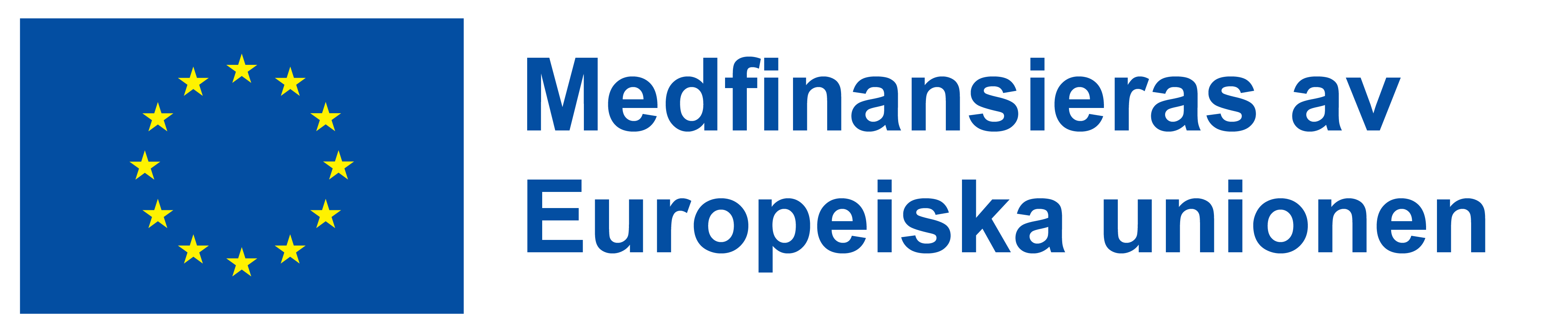 Logo: Medfinansieras av Europeiska Unionen