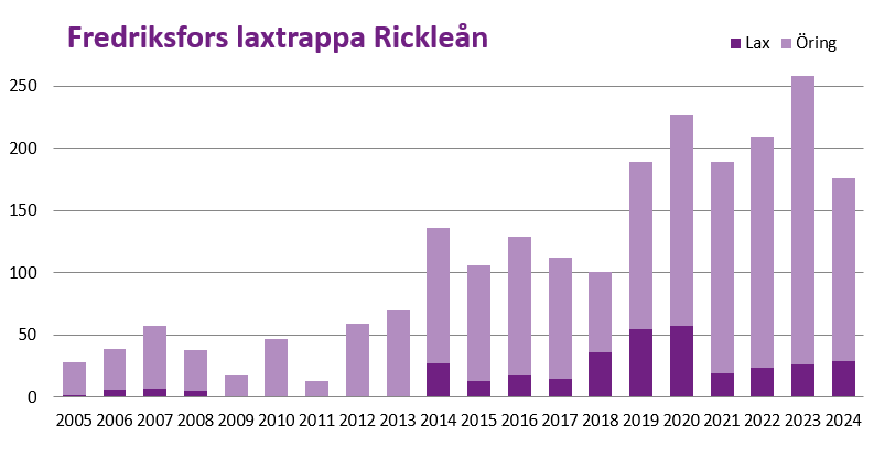 Diagram över fiskvandringen i Fredriksfors, Rickleån.