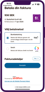 Bild från appen, visar betalningsmöjligheter